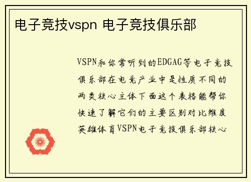 电子竞技vspn 电子竞技俱乐部